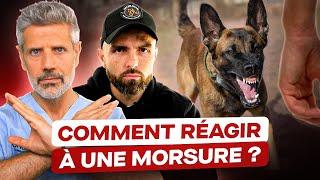 Morsure de Chien : Que Faire ? (ft. @EspritDog)