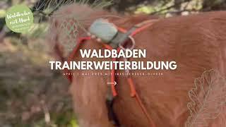 Trainerweiterbildung Waldbaden mit Hund 2025