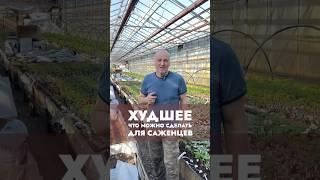 Какие самые страшные ошибки с саженцами можно допустить #виноградульяновска #дача #виноградарство