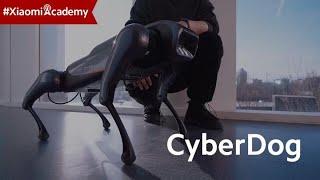 Explore the Possibilities with Xiaomi CyberDog | Xiaomi Academy
