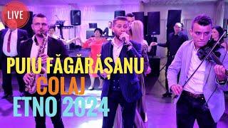 Puiu FagarasanuColaj Etno Live 2024