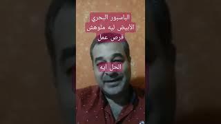 هام لكل بحري ابيض مشكلة الباسبور البحري الابيض ليه مفيش فرص عمل كفاية له و الحل ايه