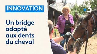 C'est une première en France : un bridge adapté aux dents du cheval