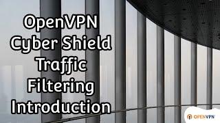 OpenVPN Cyber Shield Traffic Filtering Introduction