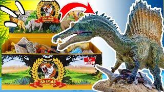 DINOSAURIO CARNIVORO, TIRANOSAURIO REX, VELOCIRAPTOR | DINOSAURIOS GIGANTES | ¡INCREIBLES!