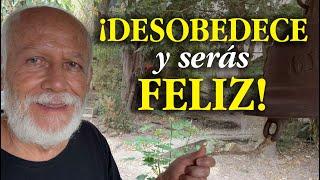 La gente feliz es desobediente-Reflexión