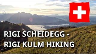 Rigi Scheidegg - Rigi Kulm Hiking