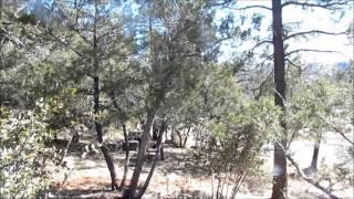 Prime Building lot in Beautiful Strawberry Arizona, with OUTSTANDING VIEWS!