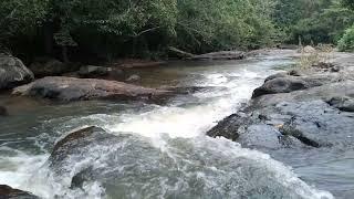 Calming Small Water Stream! 2024@Third Eye lk.