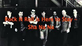 Rock N Roll is Here to Stay - Sha Na Na HD