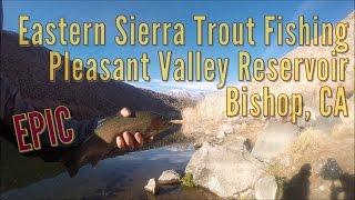 Epic Eastern Sierra Trout Fishing at Pleasant Valley Reservoir - Bishop, CA