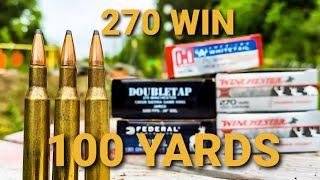 270 Win - 100 Yard AMMO TEST