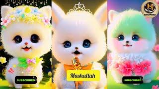 Cat Naat | Noor Wala Aya Hai | Little Cat| Rabi ul awal #caat #rabiulawal #shortvideo