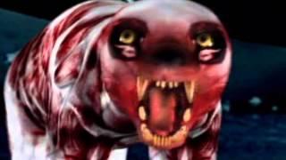 Lion - the king of predators, Rate My Science