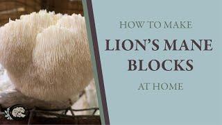 How to Make Your Own Lion's Mane Mushroom Blocks at Home