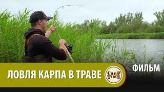 Карпфишинг ЛЕТОМ! Ловля КАРПА в ТРАВЕ с Хэри ФИЛЬМ