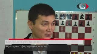 Интеллектуальное развитие детей