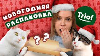 БОЛЬШАЯ НОВОГОДНЯЯ РАСПАКОВКА ПОДАРКОВ | ЧТО ПОДАРИЛИ КОШКАМ?!