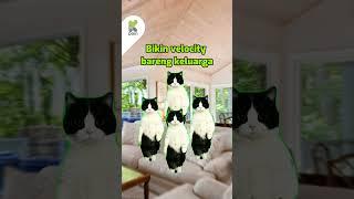 Lebaran di rumah KePo Min... KPeople, ada yang relate gak nih? 