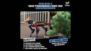 Introduction of Petoi Bittle X | Smart Programmable Robot Dog For Everyone | Petoi Camp