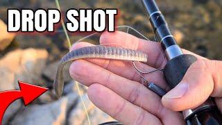 Drop Shotting a Flat Worm (SHALLOW Bank Fishing)