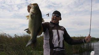 How to catch Big Bass!