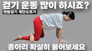 sns에서 난리난종아리알 확실히 푸는법! 정말 이게 최고에요혈액순환 팡팡 진짜 시원해요! 많이 걷는사람 꼭 하세요