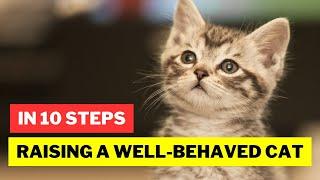 How to Raise a Well Behaved Cat / Cat Grooming