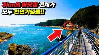 The train closest to the sea in the world according to the Guinness Book of World Records