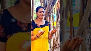 താകൃത്താളം നല്ല താകൃത്താളം | Soubhagya | Unarth Folk Band | #folkloremusic #song #folklore #love