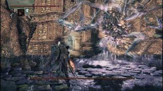 Frontier Amygdala 90-ish Insight