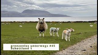 Schottland 1 - Start in unsere Schottland-Rundreise - unerwartet sonnig und voller Tierbegegnungen.