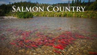 Alaska Salmon Country - Sockeye City