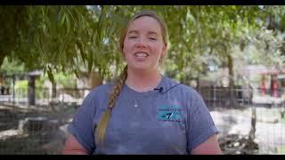 A Day in the Life of an Idaho Falls Zoo Keeper - Meet Amy our Australian Area Keeper!