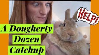 A Dougherty Dozen Catchup