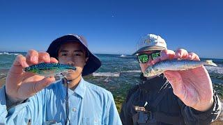 BAIT vs LURES! (CRAZY RESULTS!) - Perth Tailor Fishing