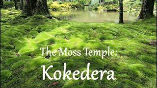 Kokedera, Moss Temple, Kyoto