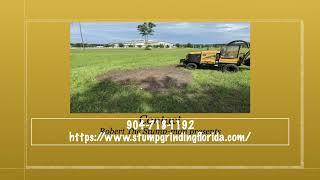 Stump Grinding Jacksonville FL by Robert the stump-man.