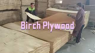 Baltic Birch Plywood (1/8" - 3/4") - B/BB Grade