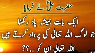 Images collection | Hazrat Ali Quotes in Urdu |Collection of Islamic Quotes | zuban e urdu