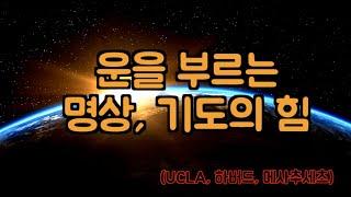 마음의 평화, 고요, 행운을 끌어당기는 법 / 명상, 기도, 진언의 신비로운 힘 / 운이 좋아지는 방법