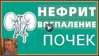 ВОСПАЛЕНИЕ ПОЧЕК - НЕФРИТ