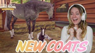 BREEDING NEW GORGEOUS COATS - Rival Stars Horse Racing | Pinehaven