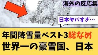 【驚愕】世界一の豪雪国、日本に対する海外ニキたちの反応集