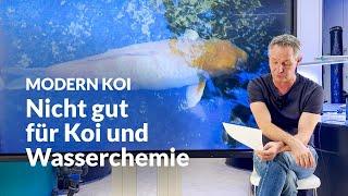 Deshalb sollten Teiche nicht dunkel abgedeckt werden | Modern Koi Blog #7234