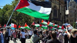 Call for police commissioners to address ‘radical’ pro-Palestinian splinter groups