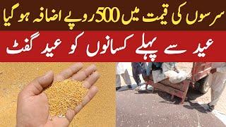 Today Mustard Price in Punjab 2024 | Sarson ka Aj ka rate