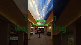 waltech wallcovering present customised celling wall coverings