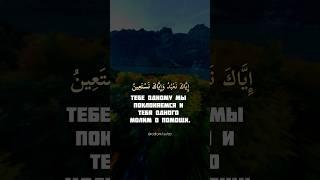 Сура 1. Аль-Фатиха (Открывающая Коран) Эгзон Ибрахими #quran #koran #fatiha #коран #сураальфатиха