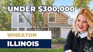 Chicago Suburbs | Complete Home Tour UNDER $300,000 in Wheaton Illinois!